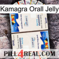 Kamagra Orall Jelly kamagra1